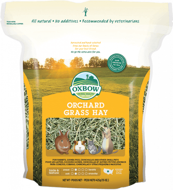 Oxbow orchard grass foin pour rongeur