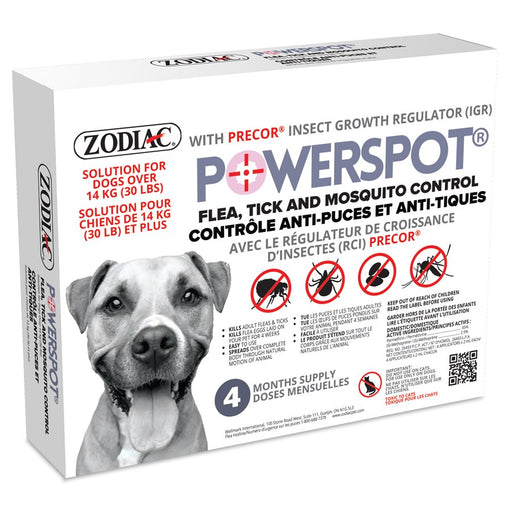 Power spot tue les tiques et les puces sur les chiens