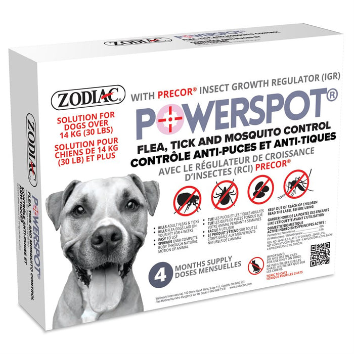 Power spot tue les tiques et les puces sur les chiens