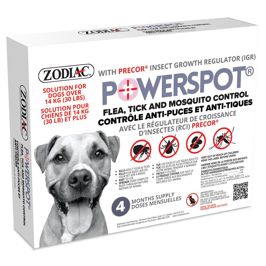 Power spot tue les tiques et les puces sur les chiens
