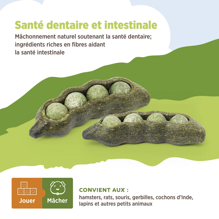 Living World – Jouet à mâcher comestible, Cosse de pois, vert, paquet de 3.75 g