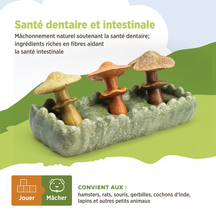 Living World – Jouet à mâcher comestible, Parcelle de champignons, multicolore, 170 g
