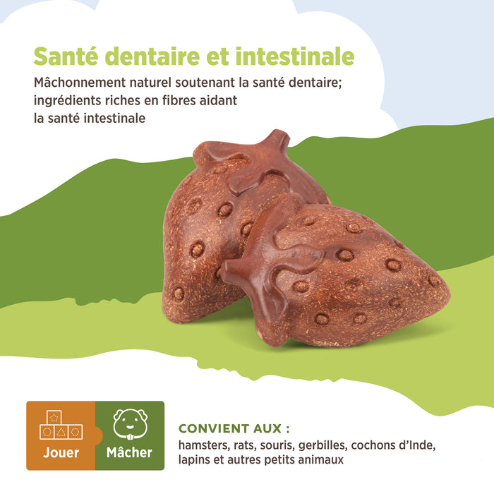 Living World – Jouet à mâcher comestible, Fraises, rouge, paquet de 3, 81 g