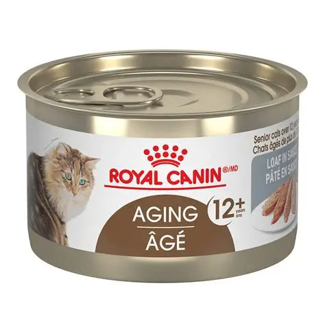 Royal Canin chat adulte agé 12+ conserve