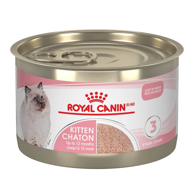 ROYAL CANIN CHATON PÂTÉ EN SAUCE – nourriture en conserve pour chatons