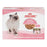 Royal Canin Chaton Fines tranches en sauce – Nourriture en conserve pour chatons Paquet de 12