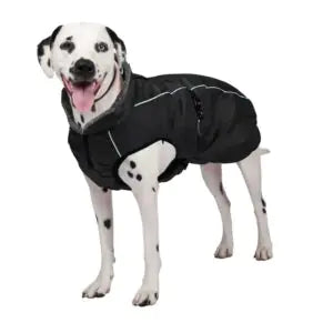 Shedrow K9 chinook manteau pour chien, noir