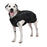 Shedrow K9 chinook manteau pour chien, noir