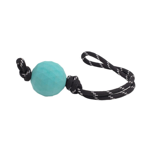 ZippyPaws – ZippyTuff RopeTugz Balle Waggle Avec Corde