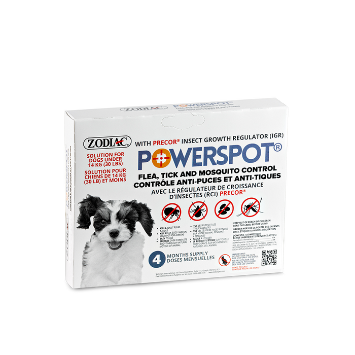 Power spot tue les tiques et les puces sur les chiens