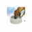 K&H CleanFlow™ Bol d’eau pour chien et chat 2 gallons