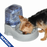 K&H CleanFlow™  Bol d’eau petit pour chien chat