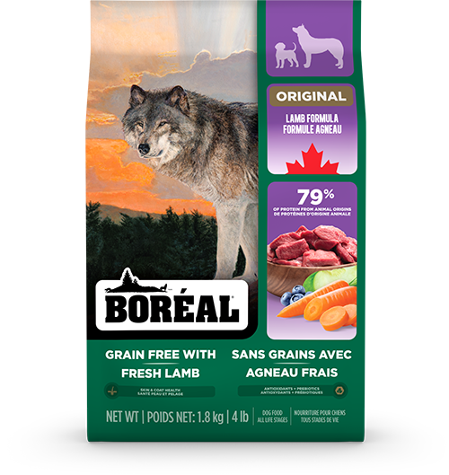Boréal original agneau nourriture sans grain pour chiot, et chien adulte (produit du Canada)