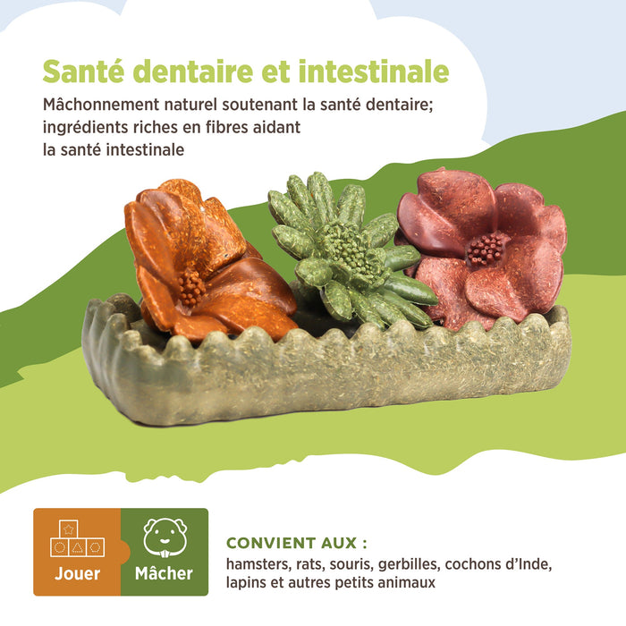 Living World – Jouet à mâcher comestible, Lit de fleurs, multicolore, 150 g - Jouet Rongeur - Living World - Living World – Jouet à mâcher comestible, Lit de fleurs, multicolore, 150 g