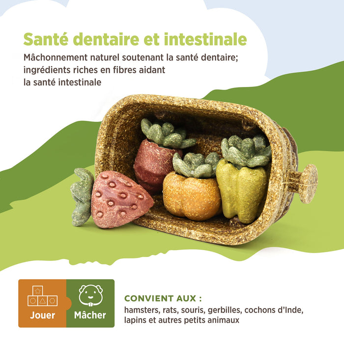 Living World – Jouet à mâcher comestible, Panier de récolte, multicolore, 158 g - Jouet Rongeur - Living World - Living World – Jouet à mâcher comestible, Panier de récolte, multicolore, 158 g