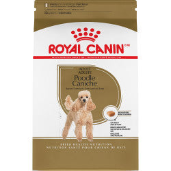 Royal Canin Chien adulte race caniche