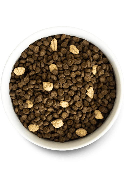 Wild Ocean sans grains RawMix pour chats - Nourriture Chiens - Open Farm - Wild Ocean sans grains RawMix pour chats