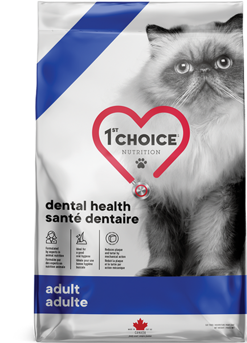 1ST Choice chat santé dentaire