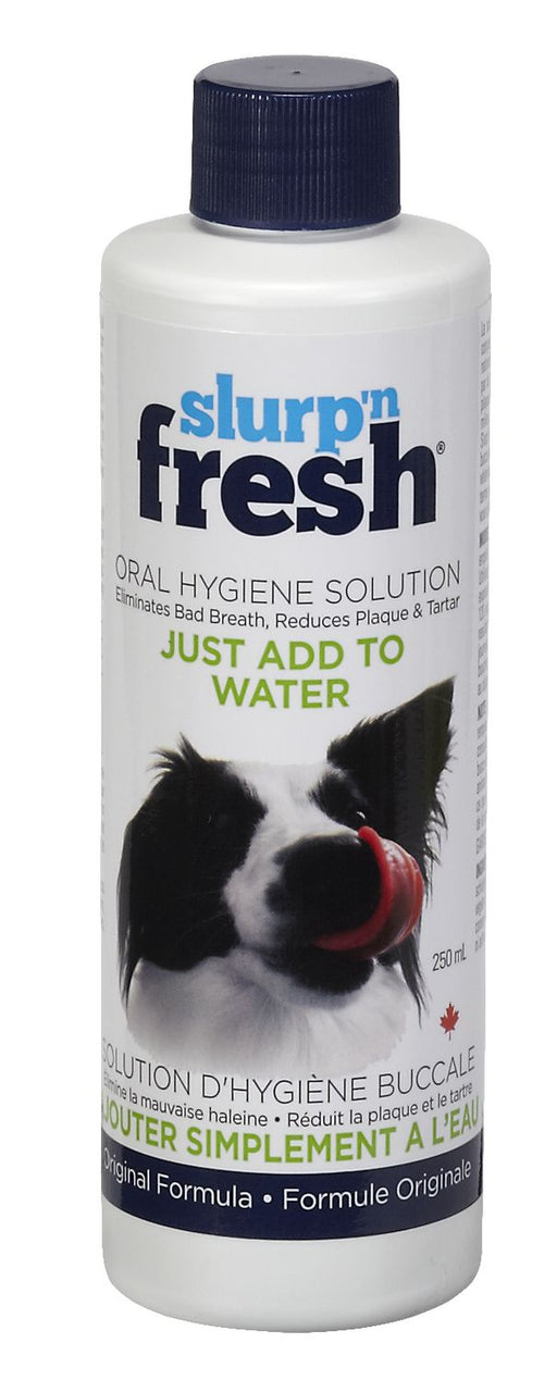 Fresh solution d'hygiène buccale pour chiens