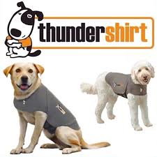 Thundershirt sport platinum large pour chien