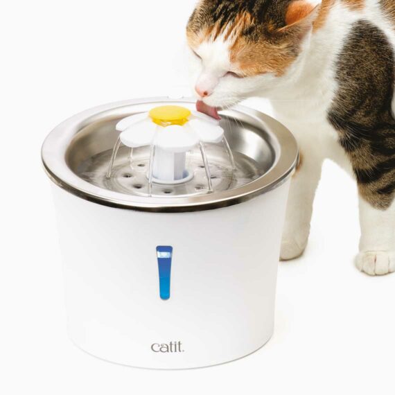 Cat It abreuvoir pour chat acier inoxydable 3L— animauxbouffe
