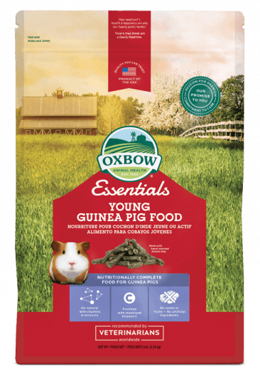 Oxbow essentials nourriture pour jeune cochon d'inde