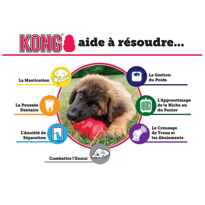Jouet KONG Classic chien 6 tailles - caoutchouc moyen/dur pour chiens