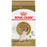 Royal Canin chat adulte race siamois