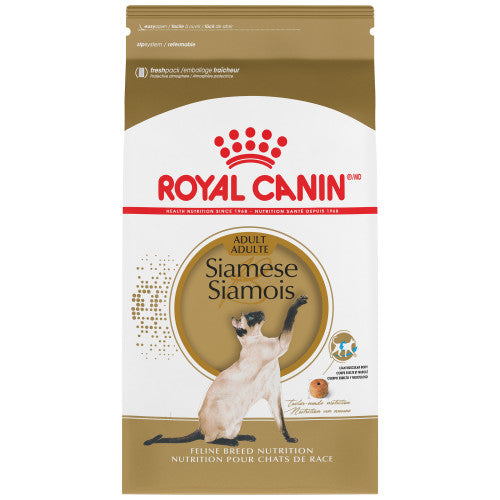 Royal Canin chat adulte race siamois