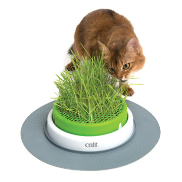 Catit 2.0 senses jardinière d'herbe pour chat— animauxbouffe
