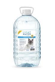Cat water eau formule urinaire pour chat