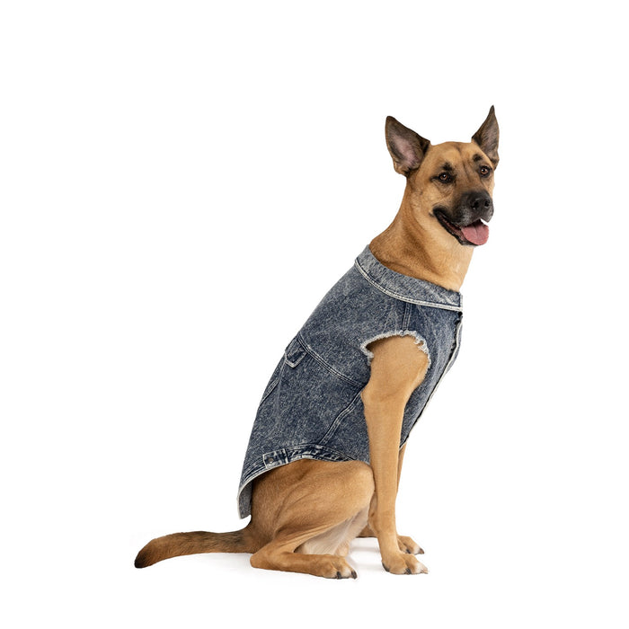 Canada Pooch veste denim (jeans) bleu pour chien