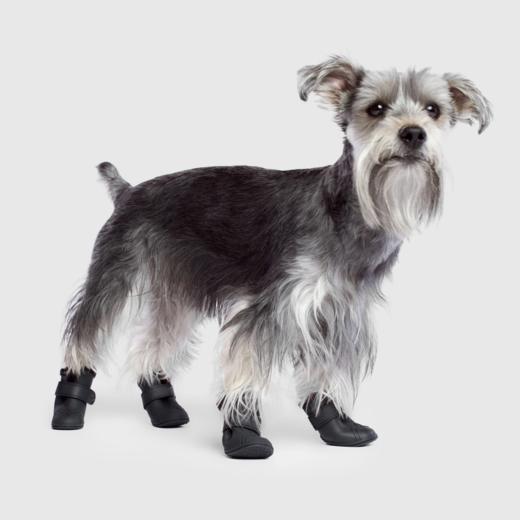 Wellies bottes doublés pour chien