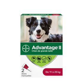 Advantage II - Protection puces+poux - Pour grands chiens (11-25 kg)