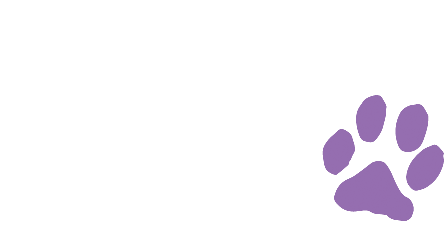 North Paw fruits de mer et homard nourriture pour chien