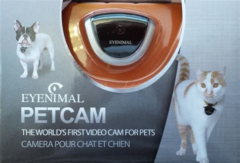 Camera pour chien et chat