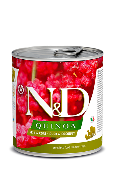Farmina conserve pour chiens au quinoa