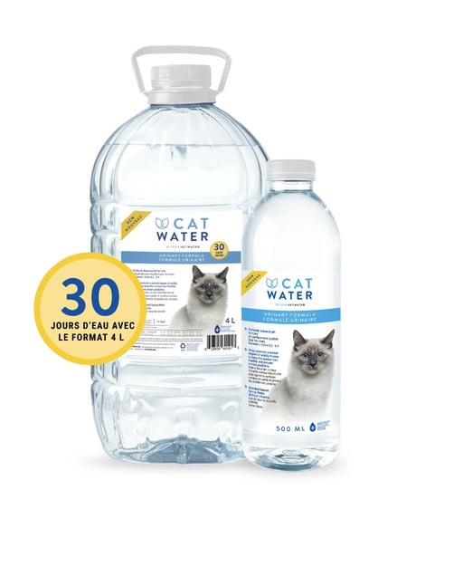 Cat water eau formule urinaire pour chat