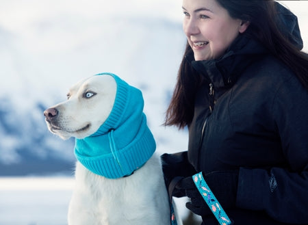 Rc pet écharpe tuque tube polaris pour chien