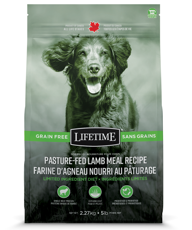 Lifetime sans grains agneau nourri au pâturage nourriture pour chiens