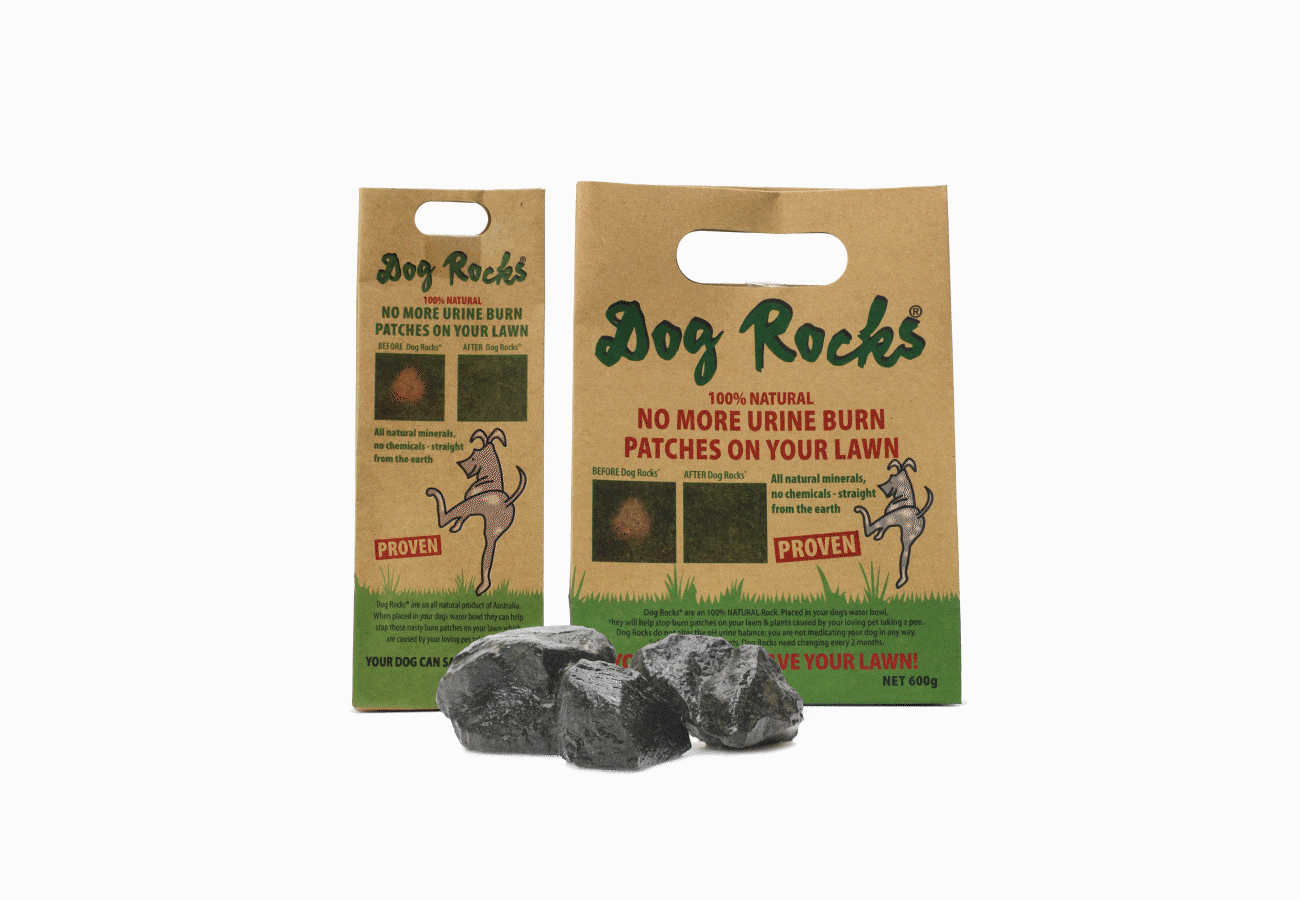 Dog Rocks roches naturelles pour bol d’eau pour chiens