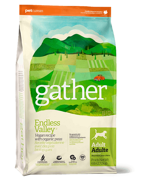 Gather recette végétarienne nourriture pour chien - Chien Nourriture sèche - Go - Gather recette végétarienne nourriture pour chien