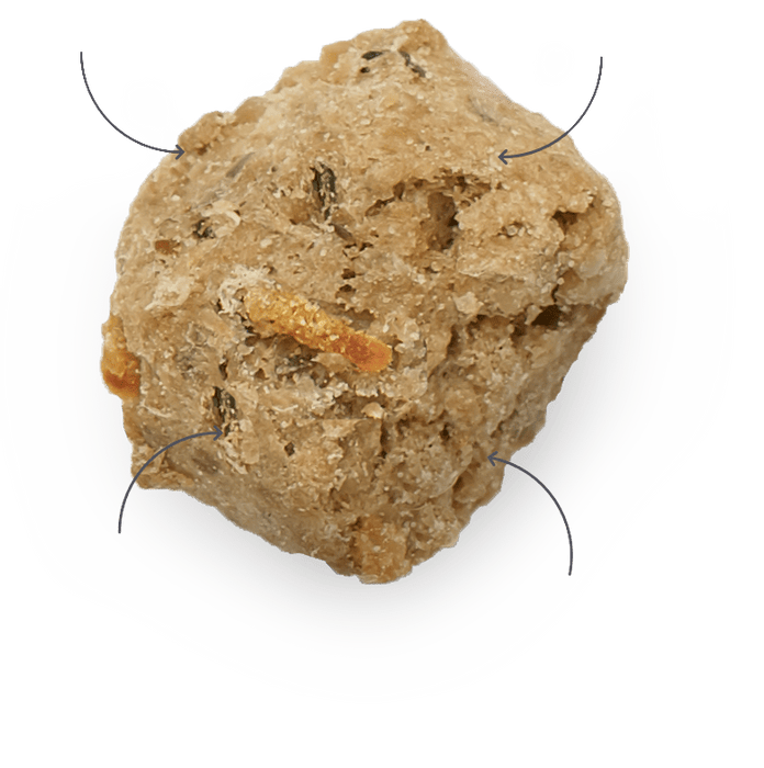 Honest kitchen boeuf déshydraté sans grain nourriture pour chiens - Chien Nourriture sèche - HONEST KITCHEN - Honest kitchen boeuf déshydraté sans grain nourriture pour chiens