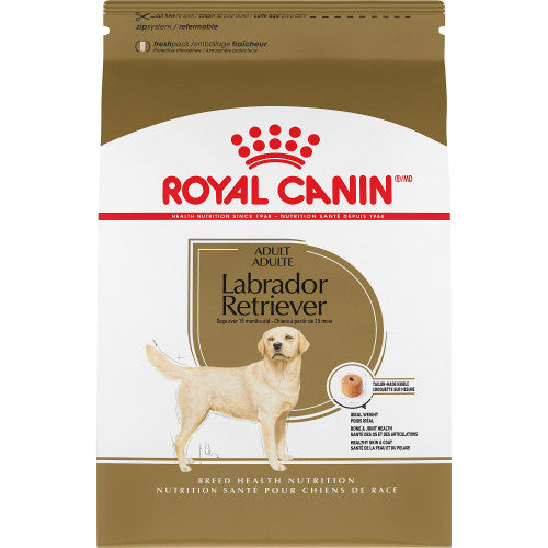 Royal Canin chien adulte race labrador