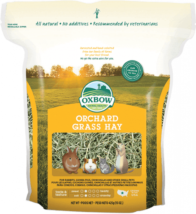Oxbow orchard grass foin pour rongeur