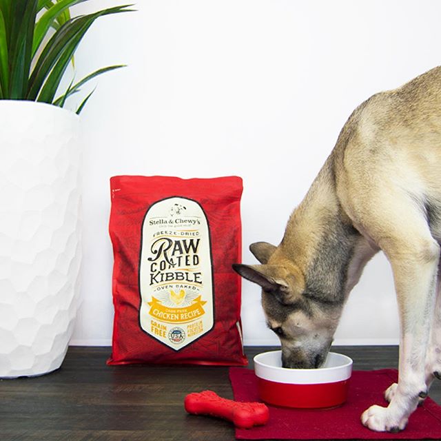 Stella & chewy's raw coated poulet nourriture pour chien