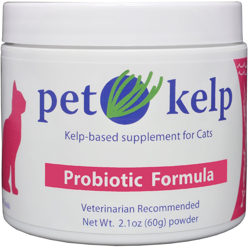 Probiotique pet kelp por chat 2.1 oz