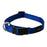 Rogz collier classic - Colliers laisses et harnais pour chiens - ROGZ - Rogz collier classic