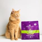 Stella & chewy dinner morsels duck duck cru lyophilisé nourriture pour chat et chaton - CHAT NOURRITURE SÈCHE A L'AIR - Stella & Chew'ys - #original_value#
