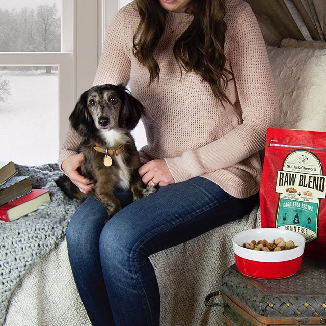 Stella & chewy's raw blend poulet nourriture pour chien - Chien Nourriture sèche - Stella & Chew'ys - #original_value#